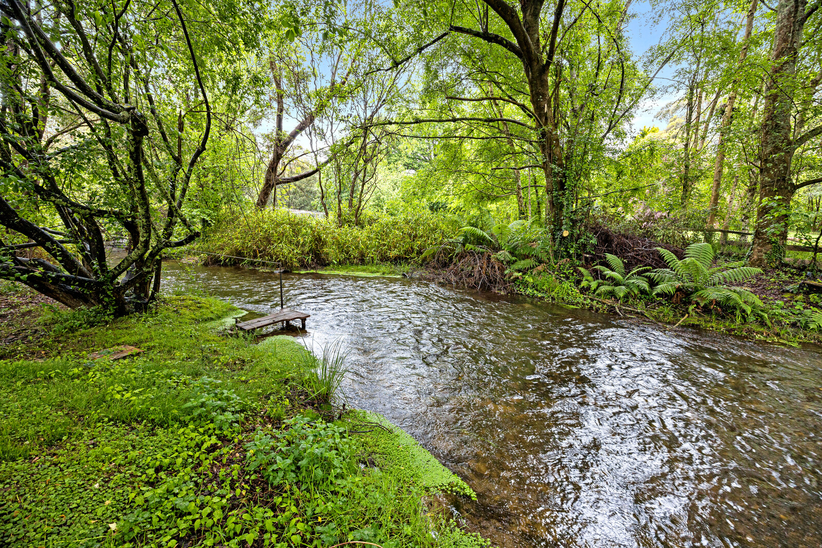 Example image of service