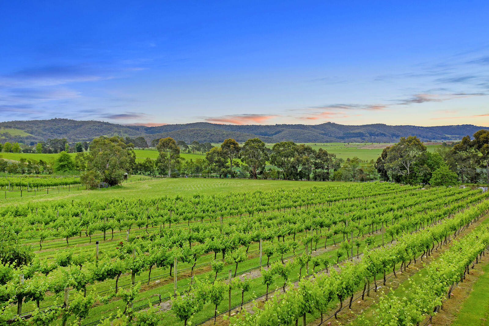 Example image of service