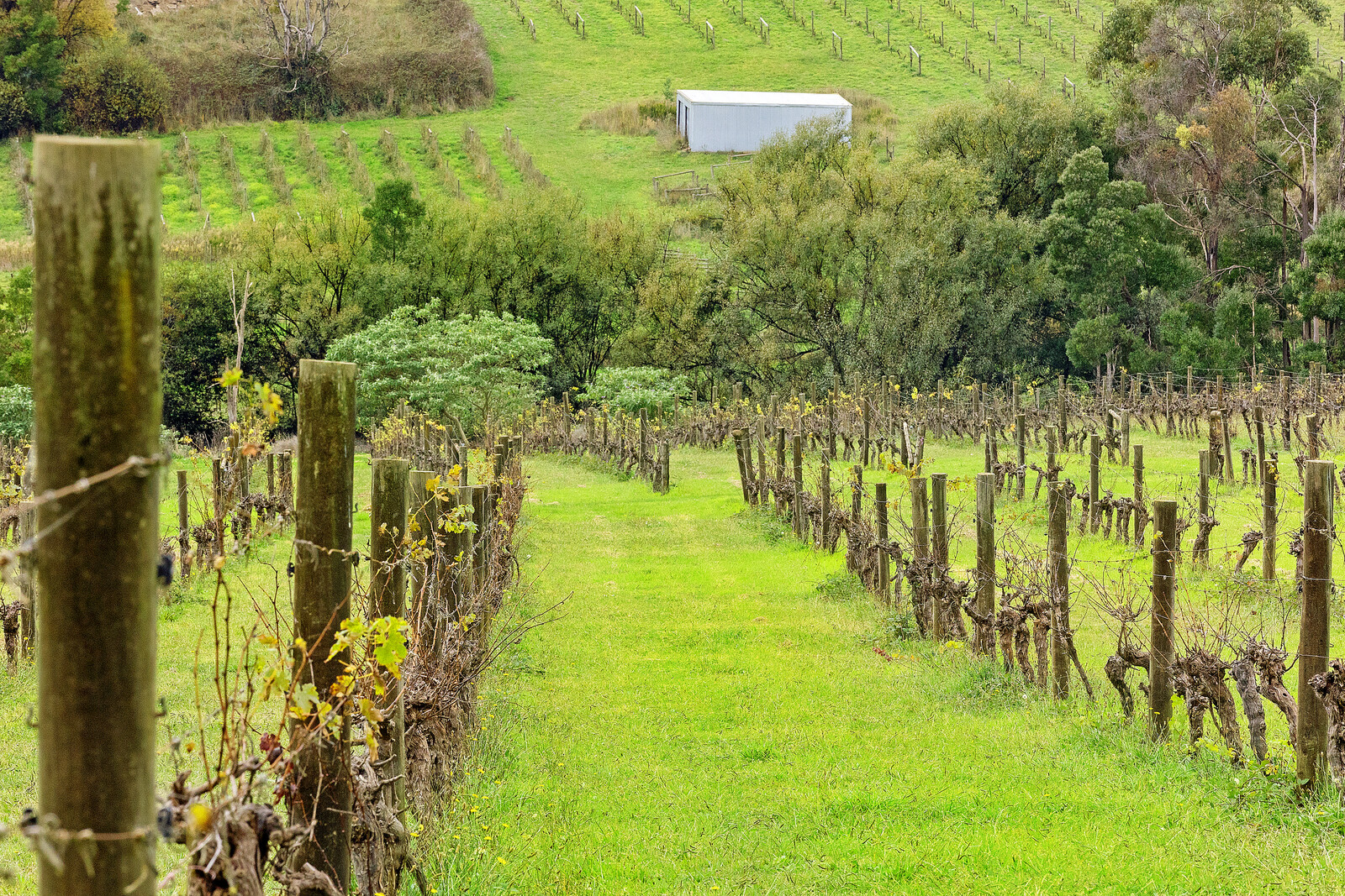 Example image of service