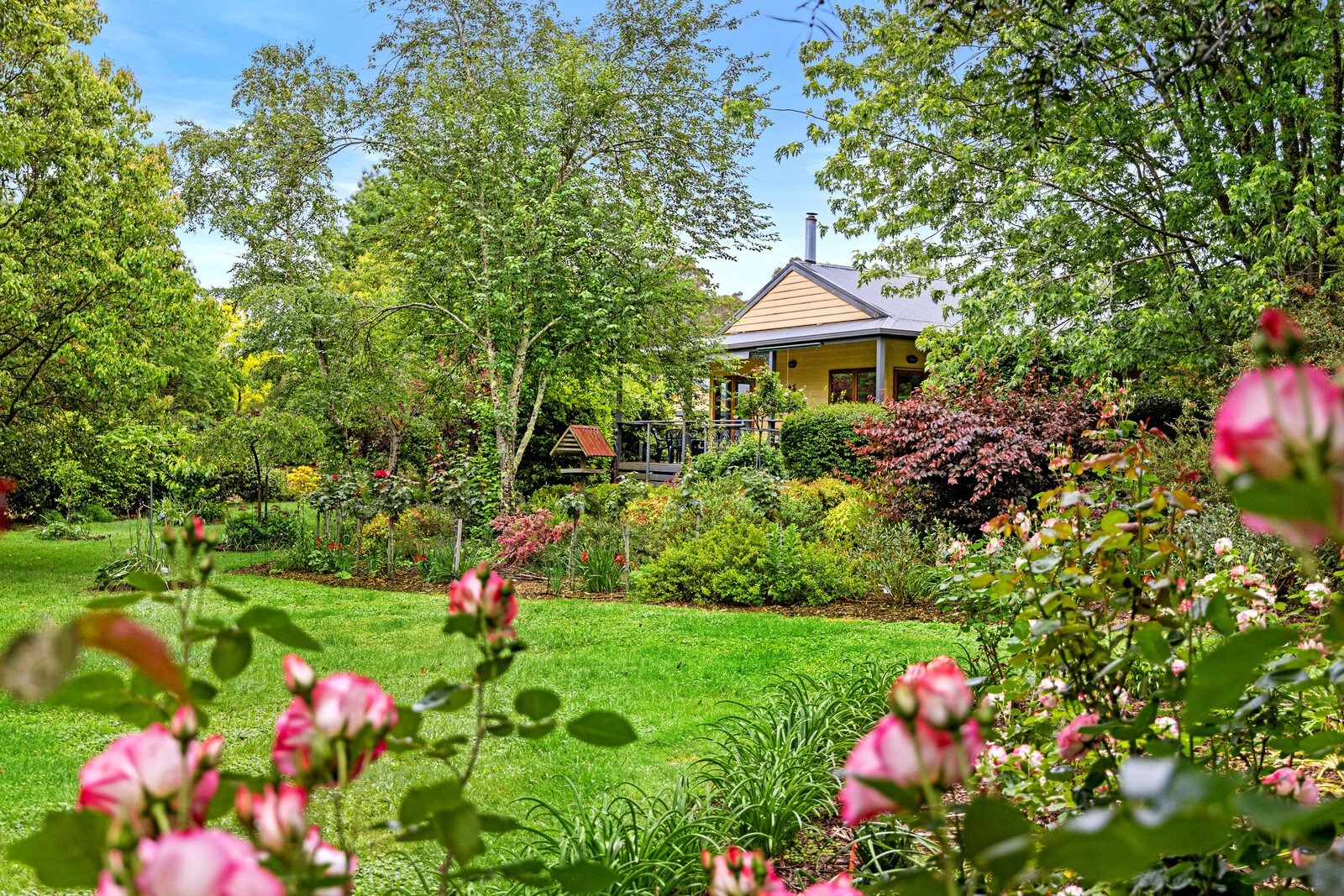 Example image of service