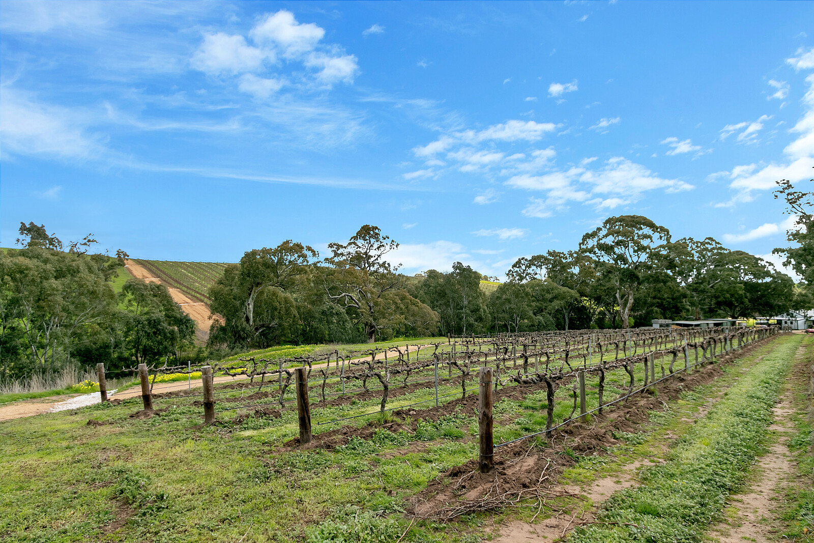 Example image of service